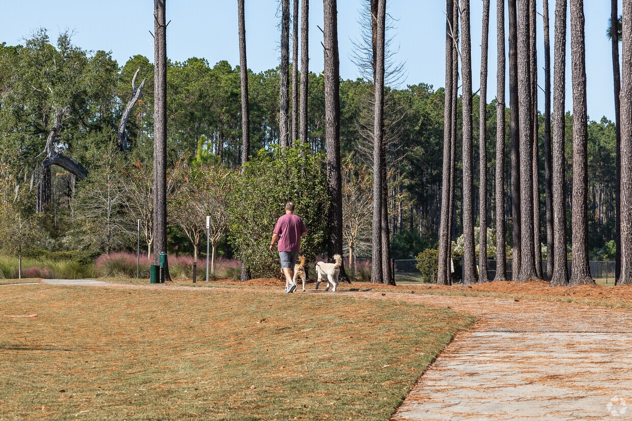 North Charleston city image