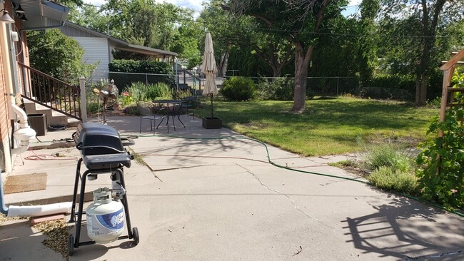 Backyard - 1315 Balsam St