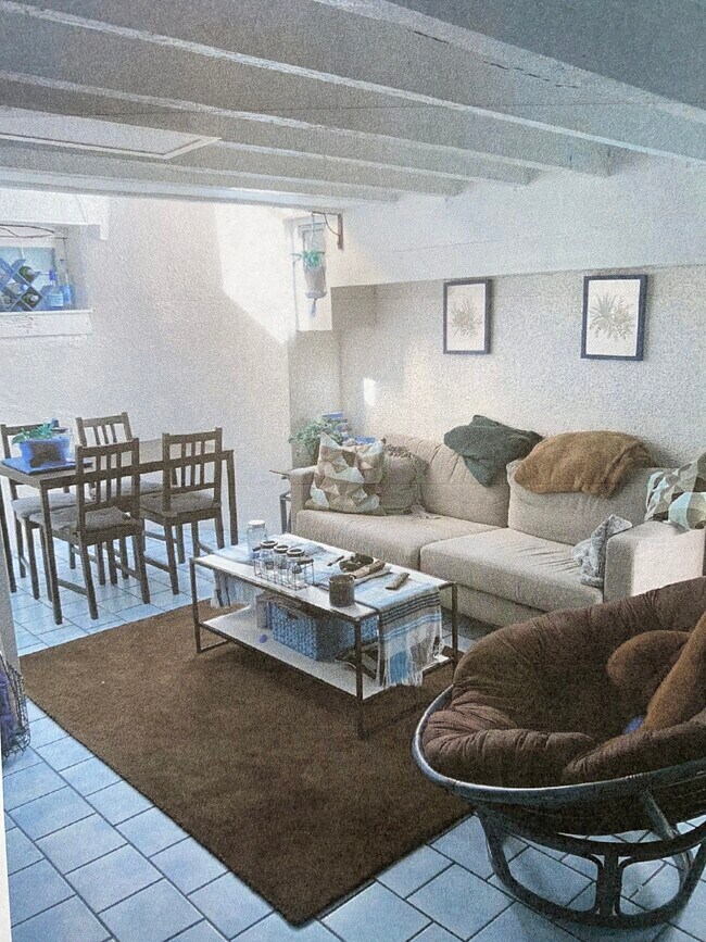 Basement Living Room - 2235 Saint Albans St