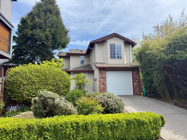 Incredible Kitchen and Amazing Brazillian Hardwoods - Incredible Kitchen and Amazing Brazillian Hardwoods House