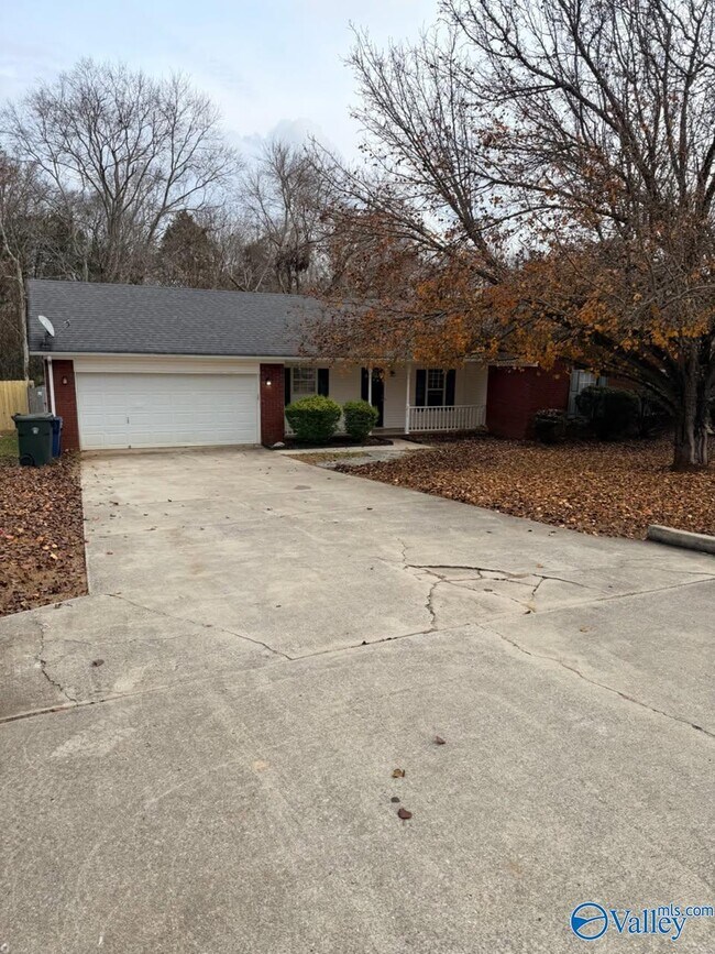 Foto del edificio - 217 Falcon Ridge Dr