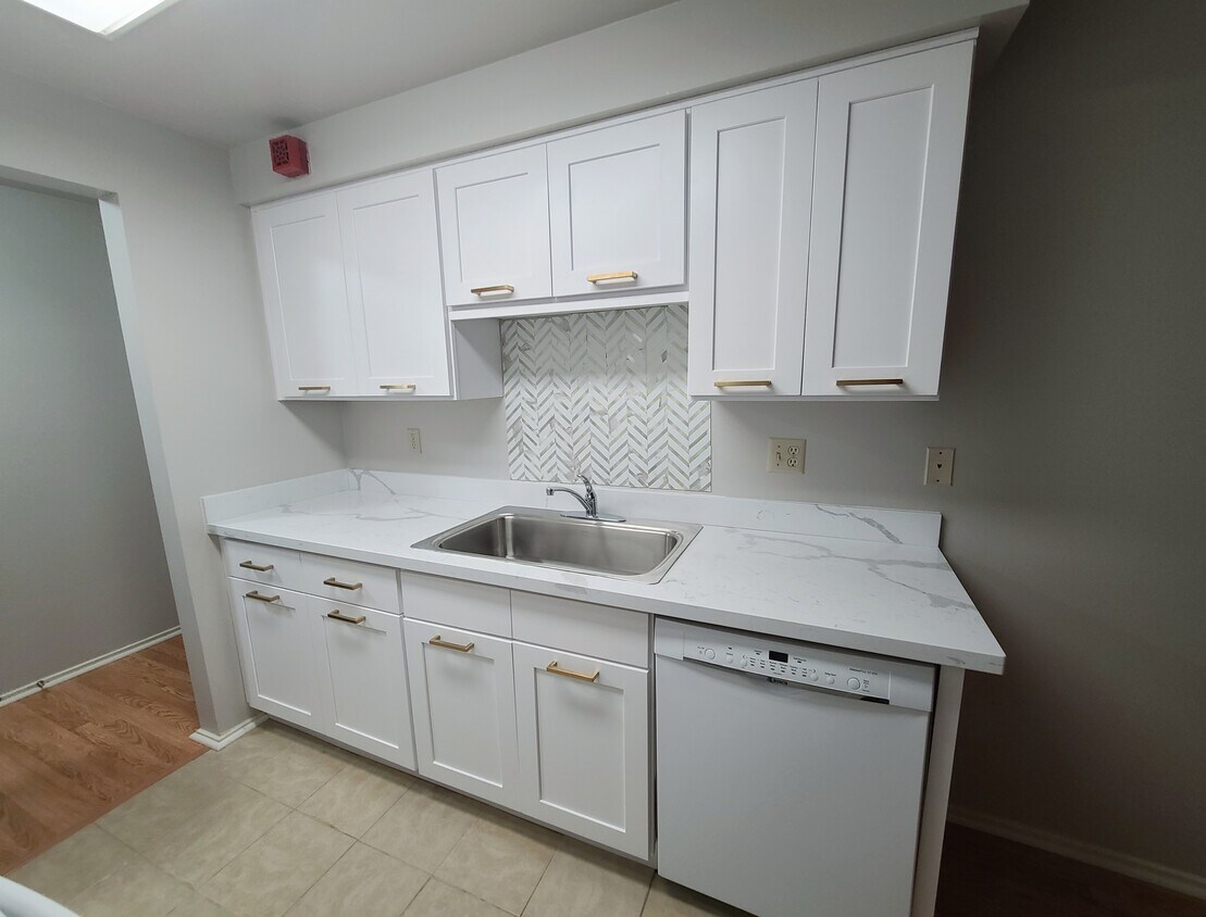 Brand new kitchen cabinets and counters - 11010 NE 68th St