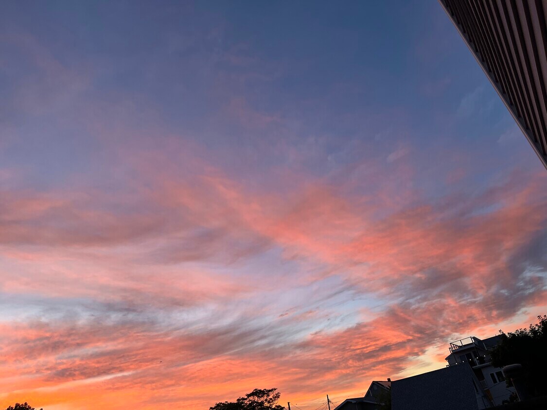 Beautiful sunrises on the water - 24 5th St