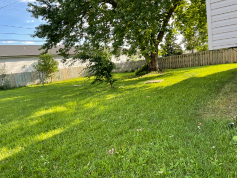 1301 Buena Vista Dr Unit 1301, Sun Prairie, WI 53590 Room for Rent in