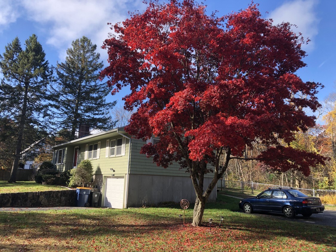 31 Mohawk St, Sharon, MA 02067 House Rental in Sharon, MA