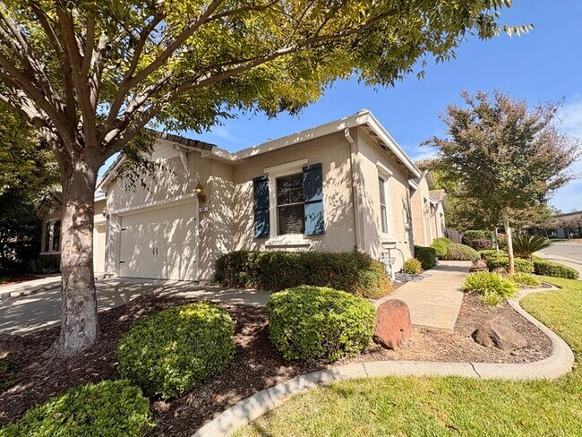 Foto del edificio - Beautiful 3 Bedroom, 2 Bathroom Home Walking Distance To The Fountains / Galleria!