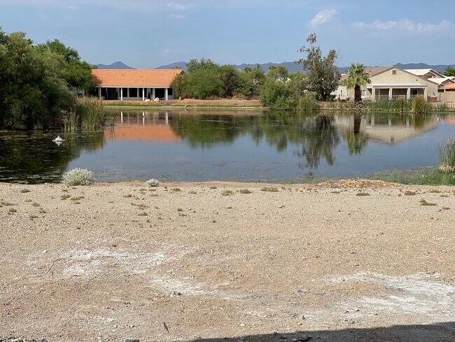 Backyard - 5879 Desert Lakes Dr