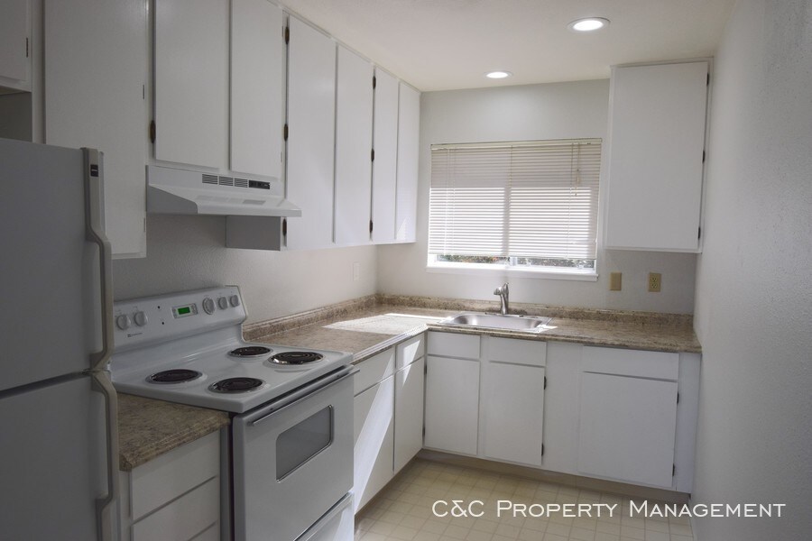 Primary Photo - One Bedroom Ocean View Apartment Near DLI