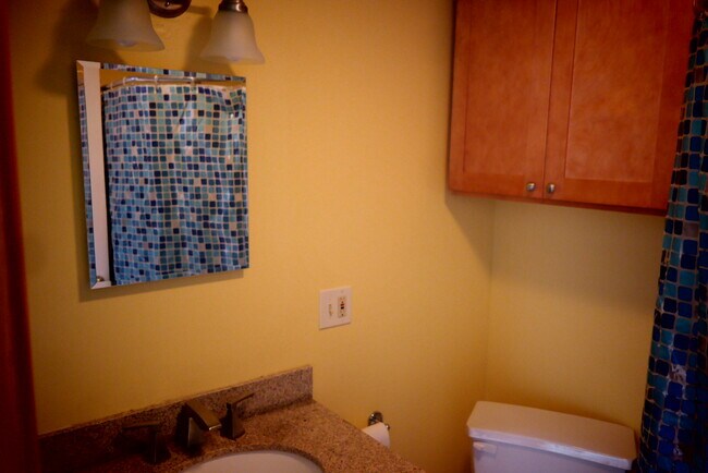 Baño 1 - 11 Summit Rd