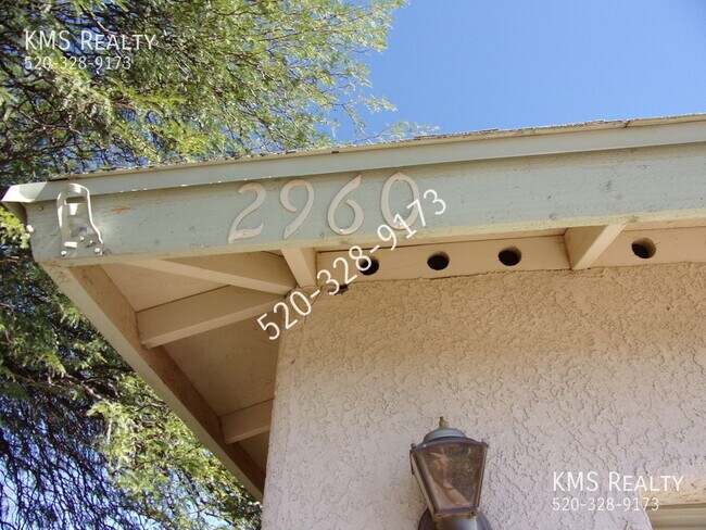 Building Photo - 2960 W Ring Tail Dr