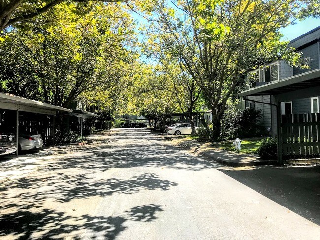 Foto del edificio - 49 Emery Bay Dr