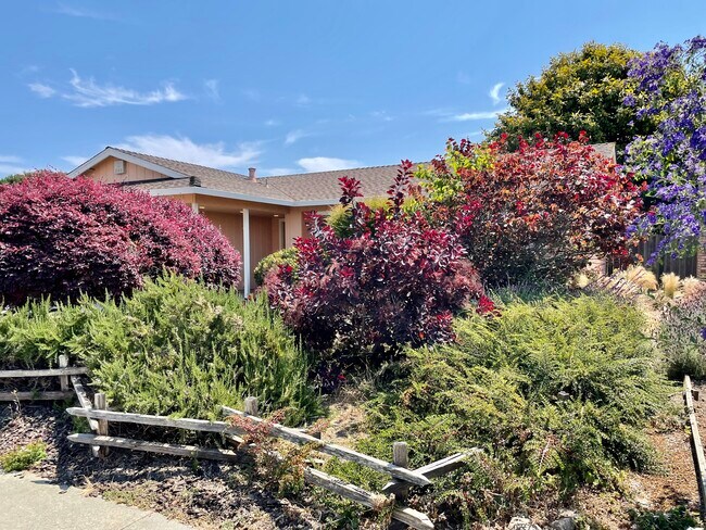 Right front view - 972 McKenzie Ave