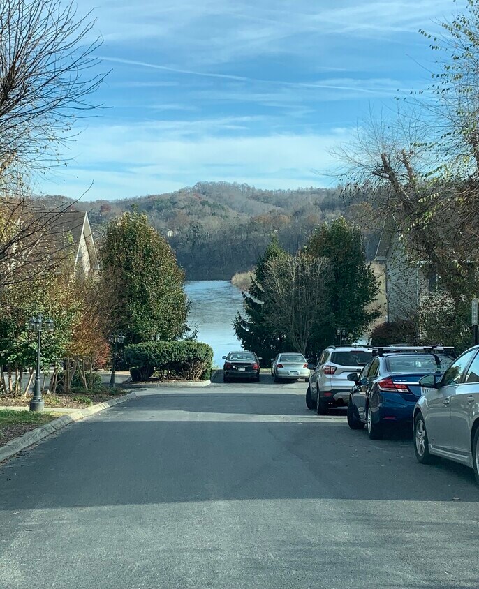 14 Lake Village Ct, Johnson City, TN 37601 Townhome Rentals in