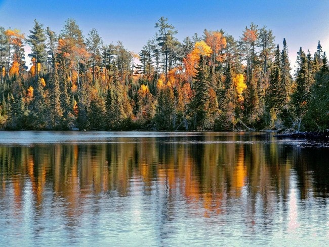 Trees reflecting in the water along the riverbank