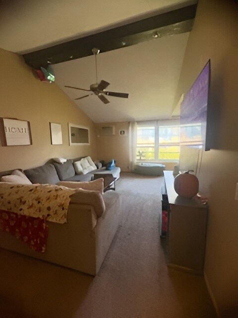 Foto del edificio - 924 Westbrooke Way