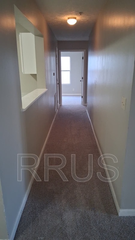 Foto del edificio - 9203 Waldrop Pl