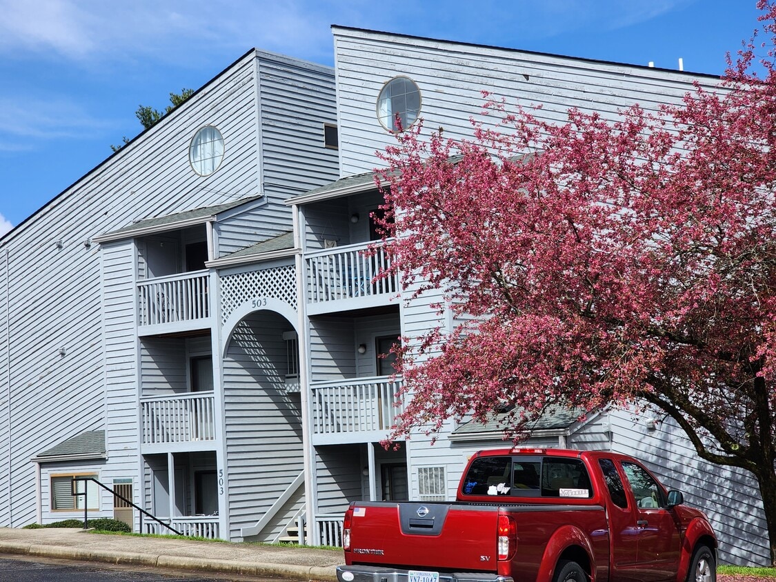 Great Location - 503 Sunridge Dr (Blacksburg, VA)