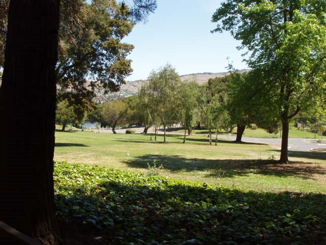 Foto del edificio - Vallejo Studio available for rent in excellent location over looking Dan Foley Park