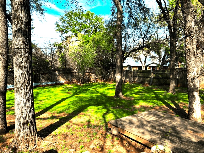 Building Photo - 1220 Harris Ave