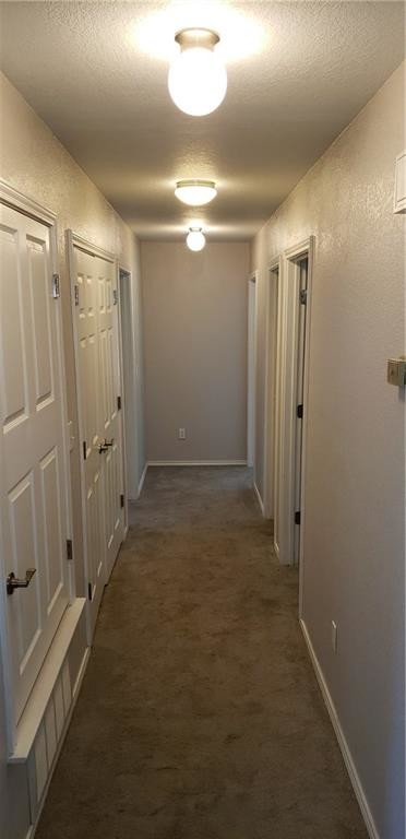 Building Photo - 3545 Lone Star Cir