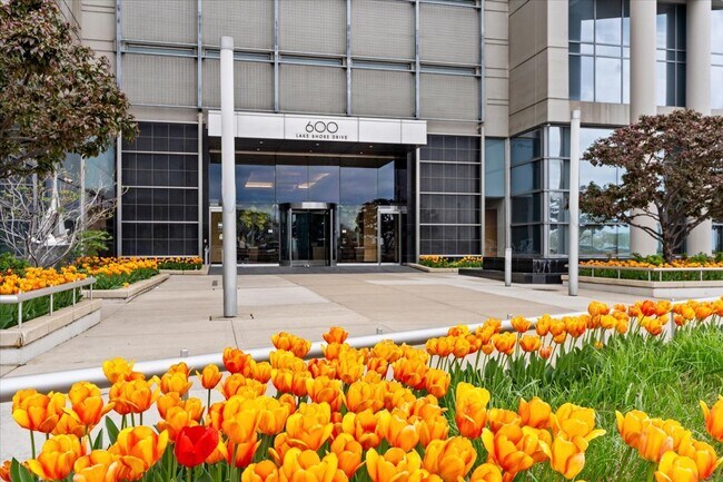 Foto del edificio - 600 N Lake Shore Dr