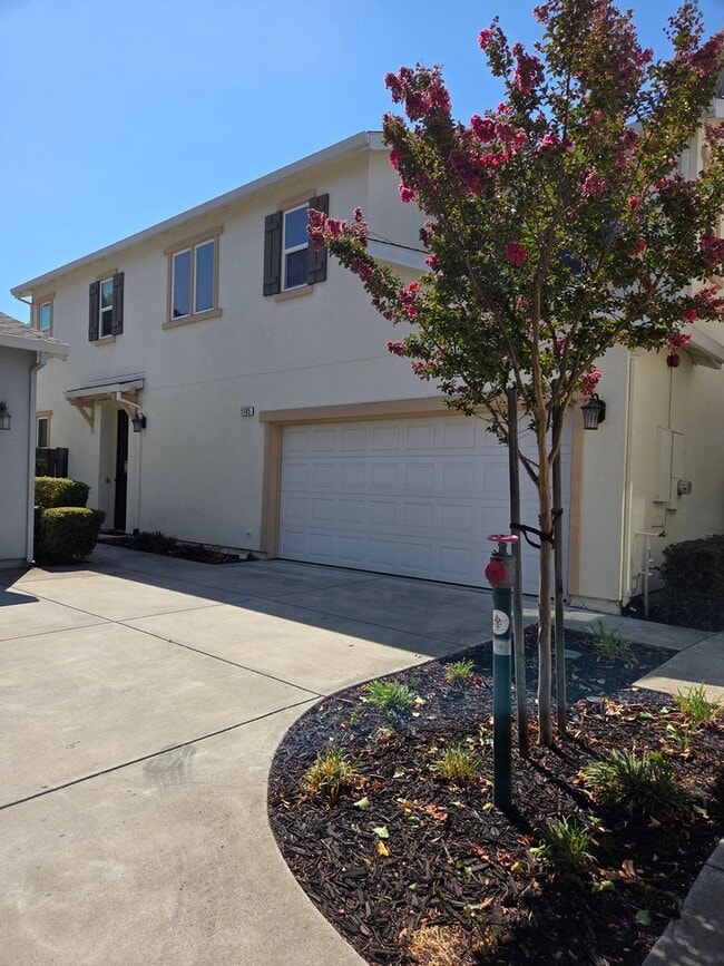 Building Photo - 1105 Strawberry Ln