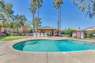 Summertime Pool - Desert Palms Apartments