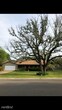 Primary Photo - 3 br, 2 bath House - 103 spanish oak cir