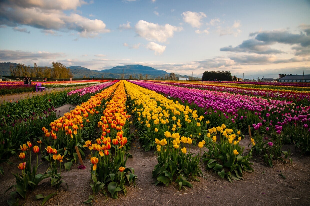 Photo du bâtiment - Skyside