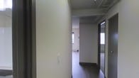 This single-floor space is defined by a central hallway that connects its various rooms, finished with dark hardwood-style flooring that contrasts cleanly against the neutral, light-toned walls throughout. The corridor provides a clear sightline into an adjoining room, where a window allows natural light to filter in, brightening the interior. A mirrored door is visible along the hallway, adding a sense of depth and reflecting light to enhance the overall brightness of the space. The ceiling features a subtle coffered or paneled detail, adding a modest architectural element to an otherwise clean and understated aesthetic. The layout appears straightforward and functional, with doorways leading to separate areas. The overall ambiance is calm and minimalist, characterized by a neutral color palette, simple finishes, and practical design choices. The space presents a blank canvas well-suited for a variety of uses, with its consistent flooring, smooth walls, and measured use of natural light contributing to a cohesive and livable environment throughout.