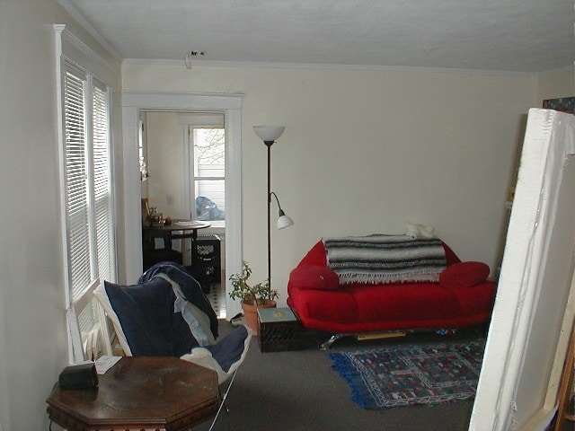 Apartment Interior - 216 N Hamilton Dr