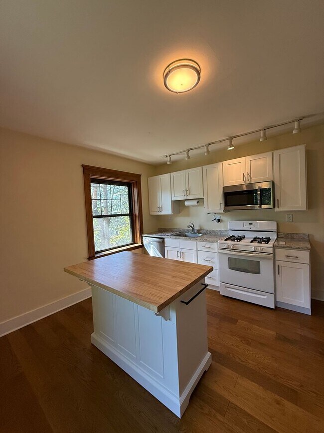 Building Photo - Gorgeous, Renovated Brighton 2 Bed on Cumm...