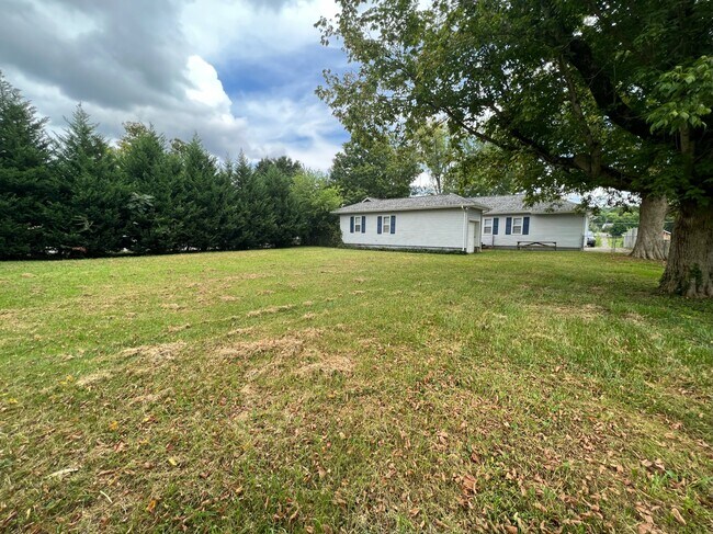 Back yard - 503 Mitchell Dr