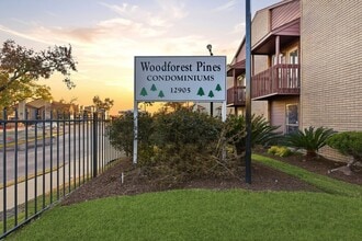 Building Photo - 12905 Woodforest Blvd