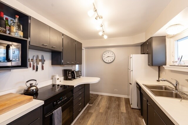 Foto del edificio - 531 Mallard Ln