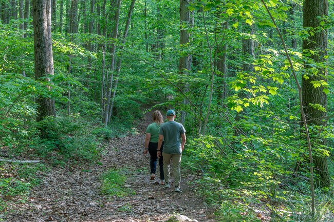 Miles of trails wind their way through Peter’s Rock Park, the highest point in North Haven.