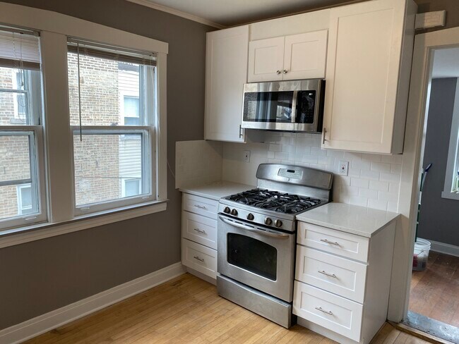 Newly remodeled kitchen - 1115 S Oak Park Ave