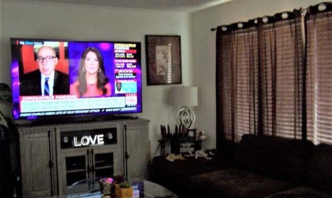 Livingroom - 1173 S Buena Vista St