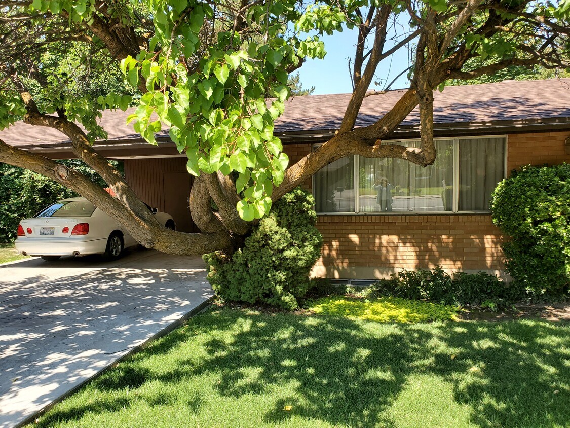 Primary Photo - 3033 N Canyon Rd