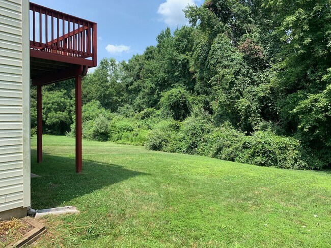 Backyard - 47 Wicklow Rd