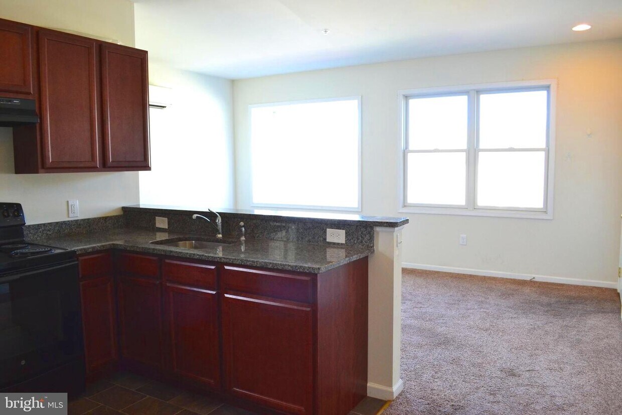 316 Bridge St Unit E, Phoenixville, PA 19460 Room for Rent in