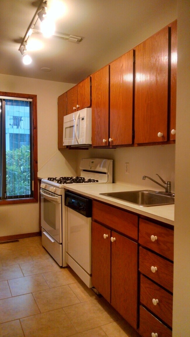 Foto interior - Little Eagle Bay