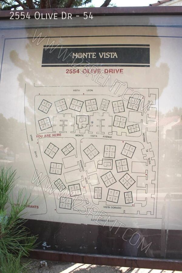 Foto del edificio - 2554 Olive Dr