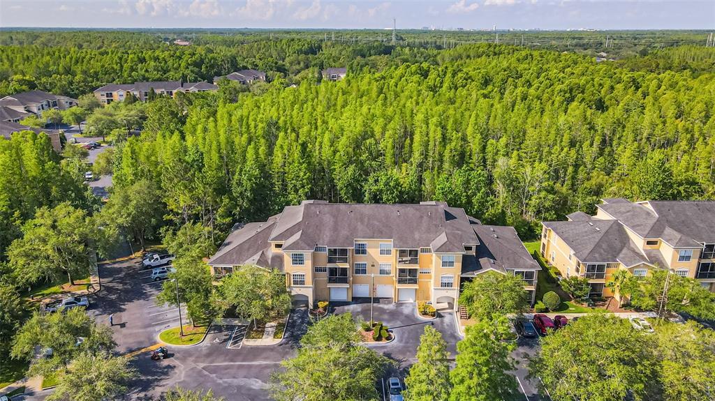 5125 Palm Springs Blvd Unit 15303, Tampa, FL 33647 Condo for Rent in