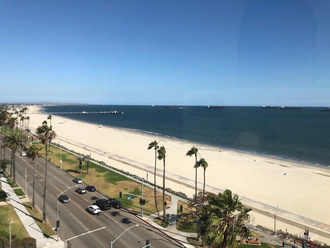 Bike Path Beach across the street - 2999 E Ocean Blvd