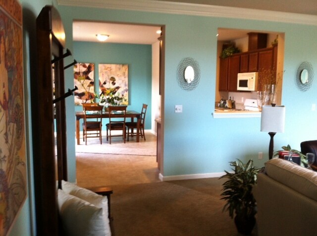 Comida - 829 Domain Way