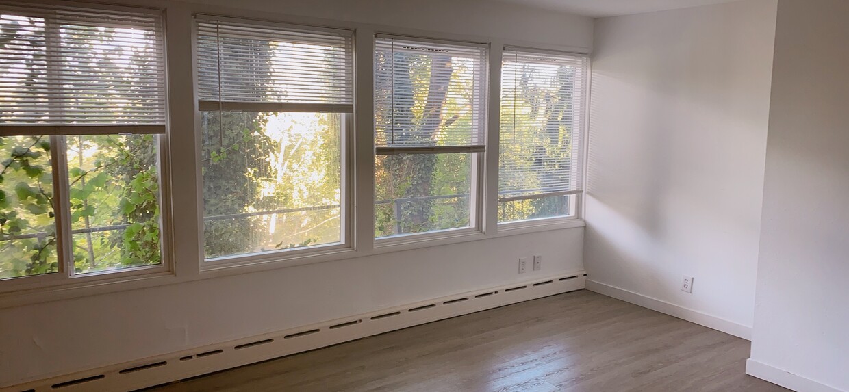 living room - 4742 22nd Ave NE