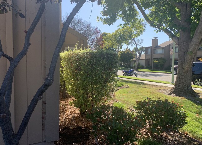 Foto del edificio - 3150 Phoenix Ln