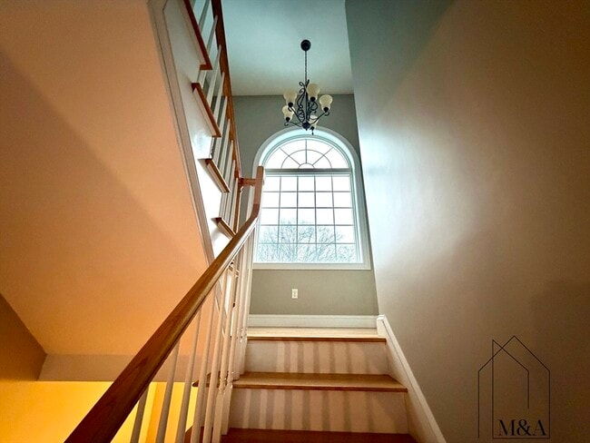 Foto del edificio - 46B Dominion Rd