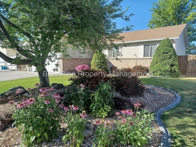 Foto del edificio - 4342 Williamsburg Ln